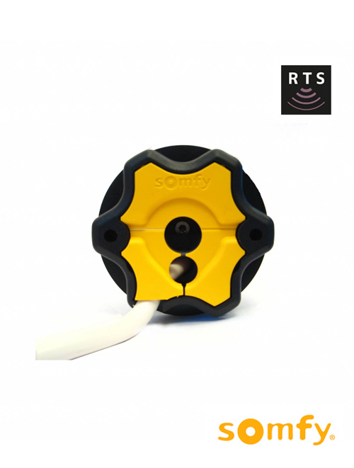 Somfy Altus 50 RTS motor