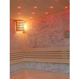 Sauna AWT E1101