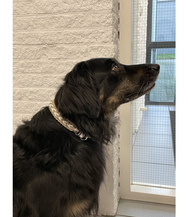 Lovely French Collar - set de bricolage