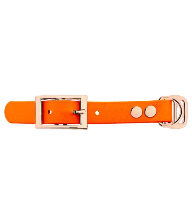 Adaptateur Biothane 19MM Orange/Or Rose