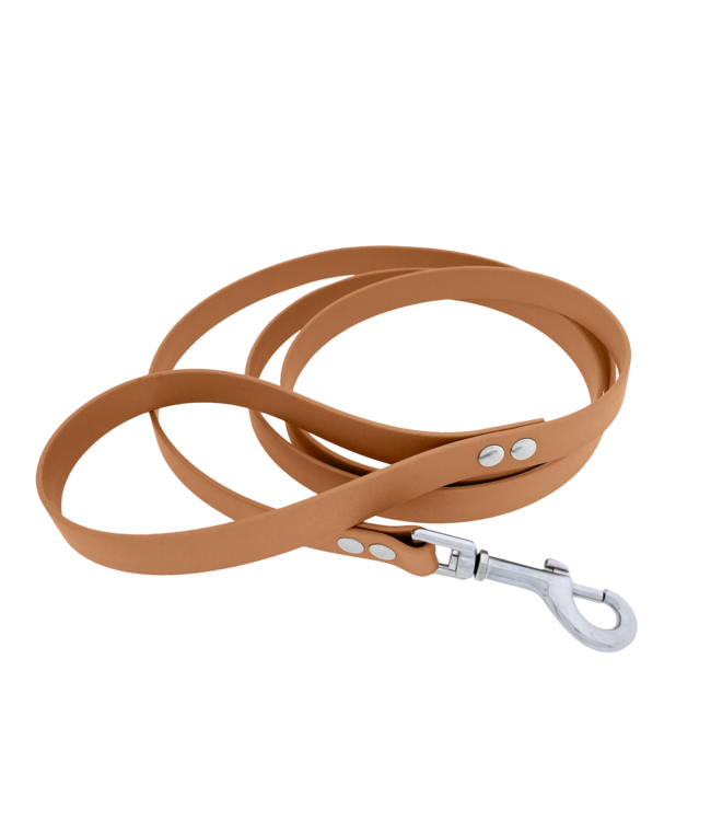 Laisse pour chien Biothane Marron clair Small