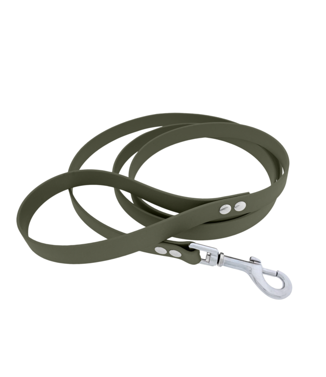 Laisse pour chien Biothane Military olive Small