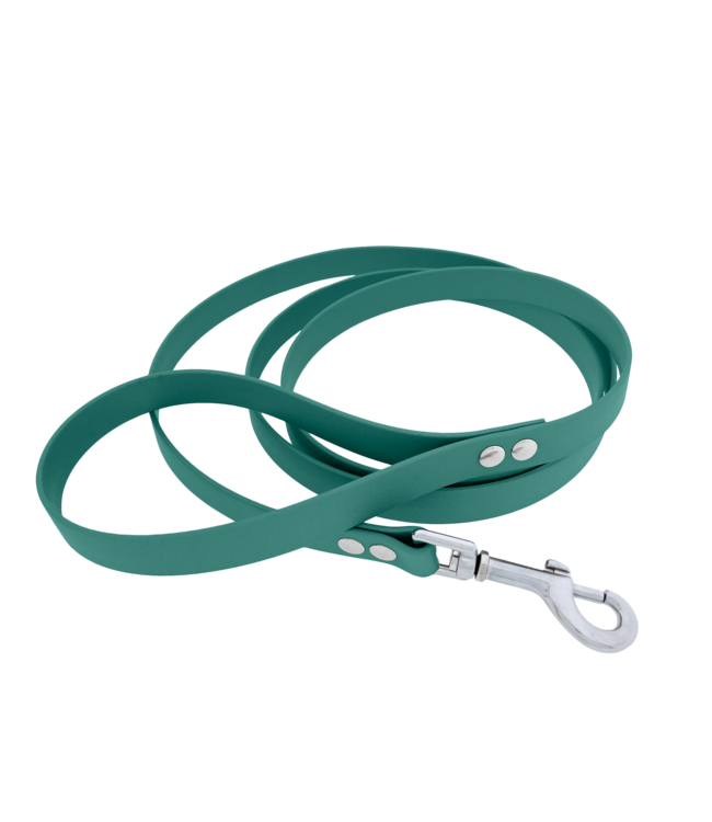 Laisse pour chien Biothane Teal Large