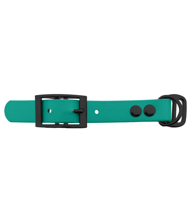 Adaptateur Biothane 19MM Teal/Noir