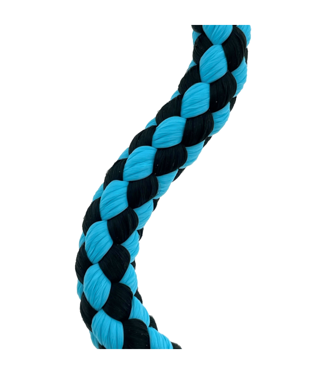 Laisse de chien en nylon 10MM à carreaux cyan foncé