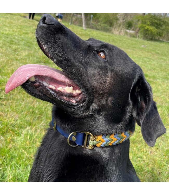 Adaptateur Biothane 25MM Light Bleu/Antique Bronze