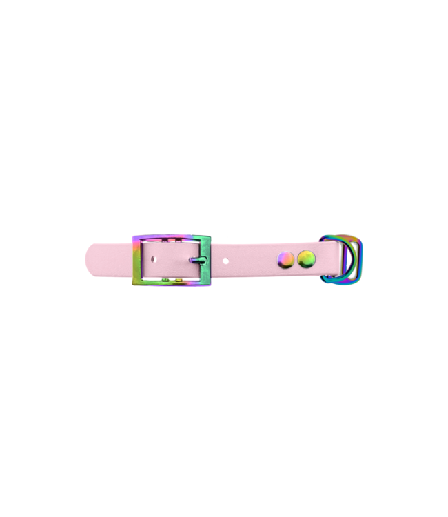 Adaptateur Biothane 19MM Dusty Pink/Neo-Chrome