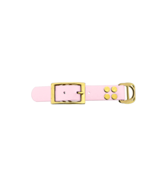 123Paracord Adaptateur Biothane 25MM Dusty Pink/Brass