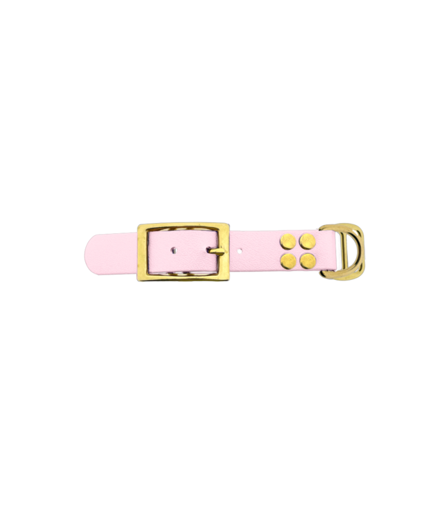 Adaptateur Biothane 25MM Dusty Pink/Brass