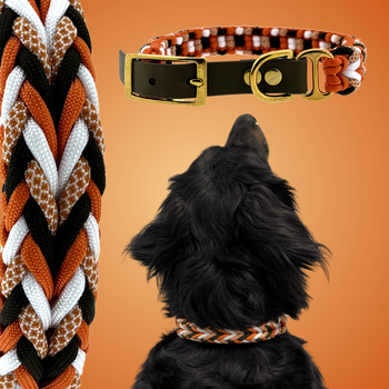 Luna's Crossed Colours