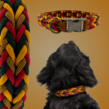 Luna's Crossed Colour