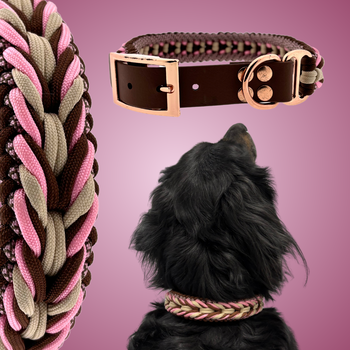 Fonsi's Indian Summer