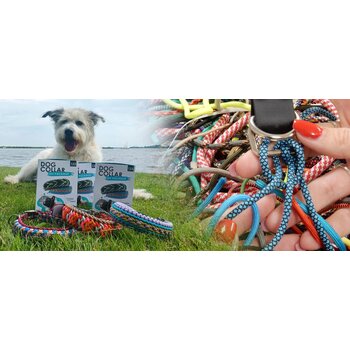 Meilleures cordes pour les laisses de chien