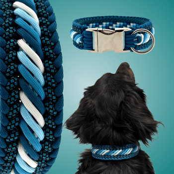 Meilleurs nœuds de paracorde colliers pour chiens