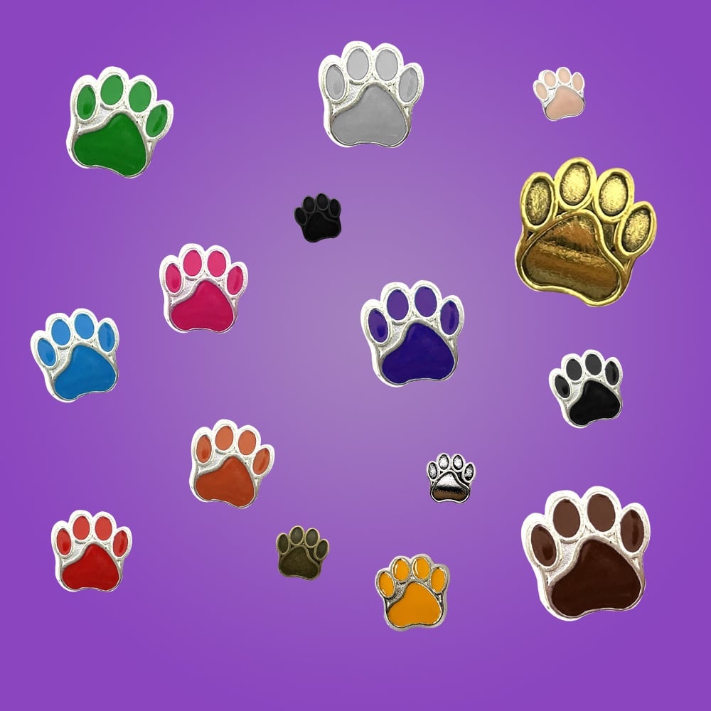 Patte de chien
