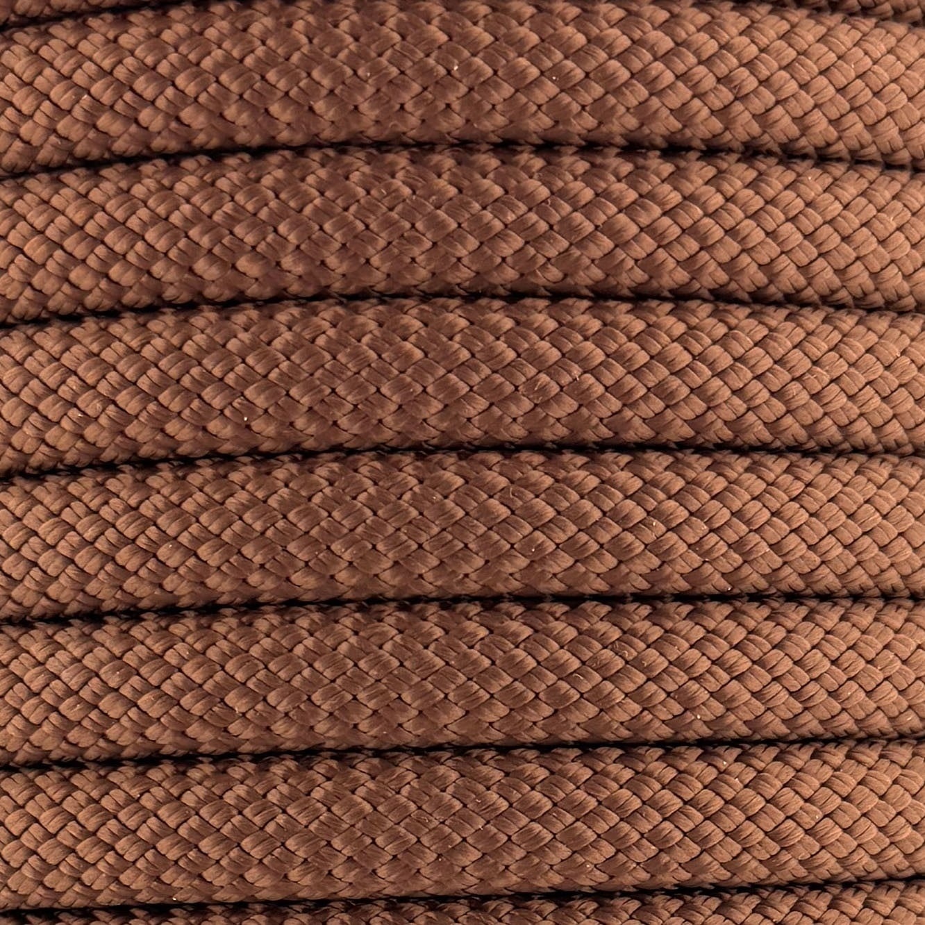 Laisse Chien Nylon