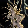 GILET VELVET STARS GILET VELVET STARS