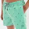 Jack en Jones JPSTFIJI JJSWIM SMALL STRIPES LY SN GREEN BEE