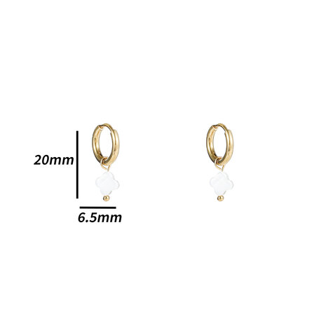 Go Dutch Label E4902-2