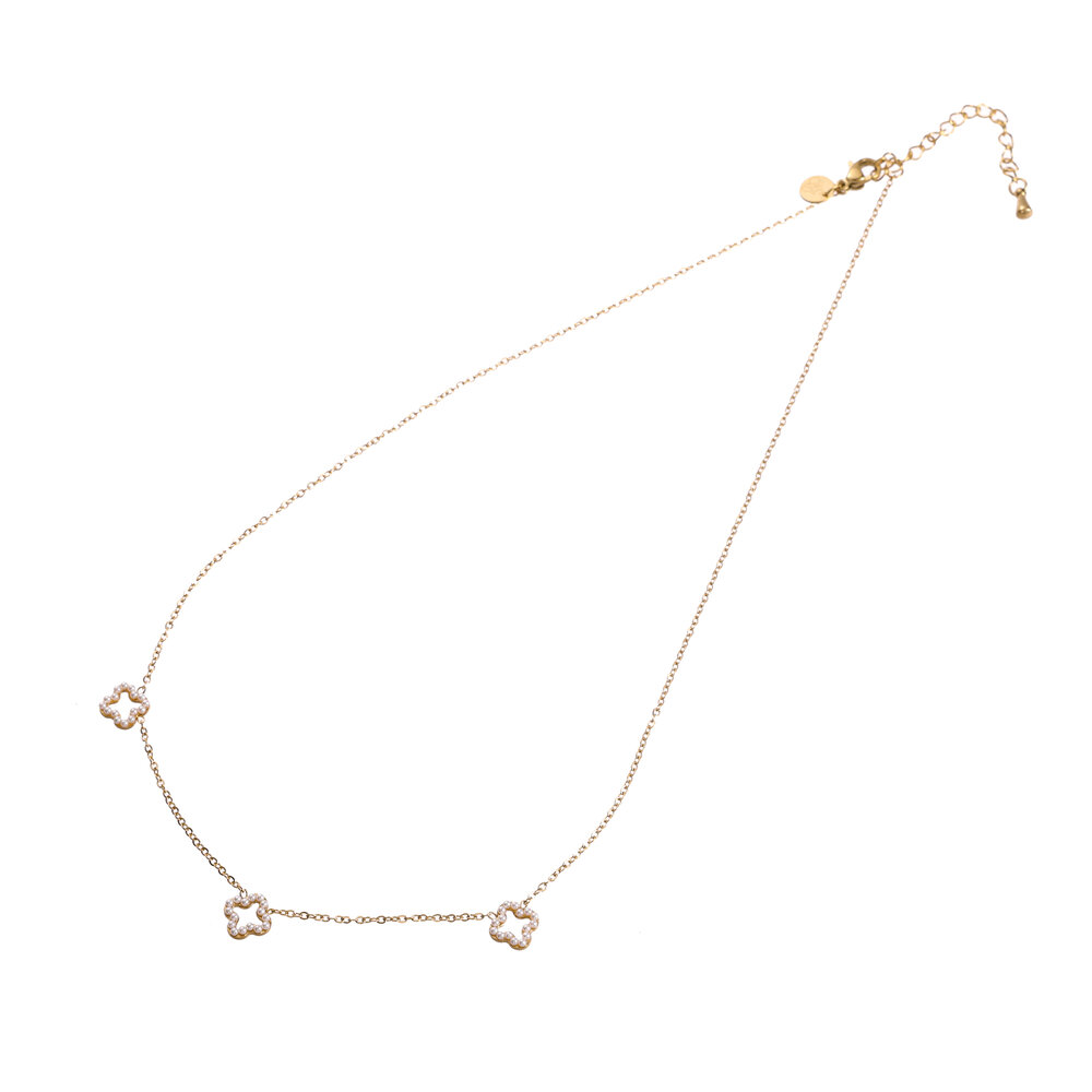 Go Dutch Label N4901-2