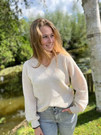 JDY JDYINGEBORG ADA LIFE L/S V-NECK PULL KNT JDY JDYINGEBORG ADA LIFE L/S V-NECK PULL KNT