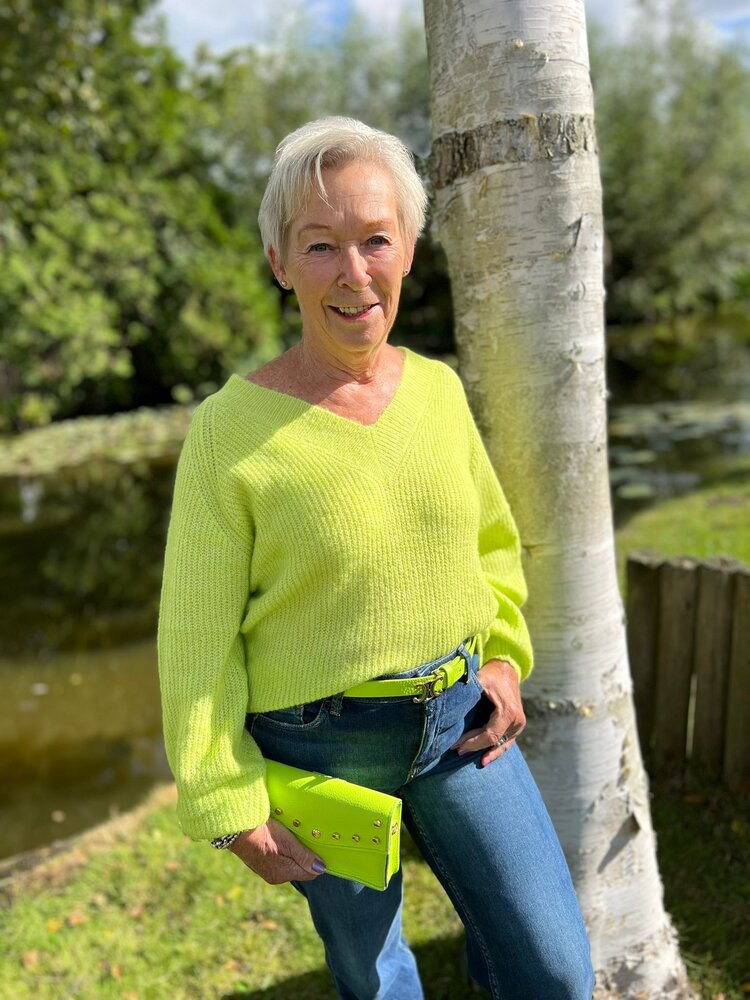 JDY JDYINGEBORG ADA LIFE L/S V-NECK PULL KNT JDY JDYINGEBORG ADA LIFE L/S V-NECK PULL KNT