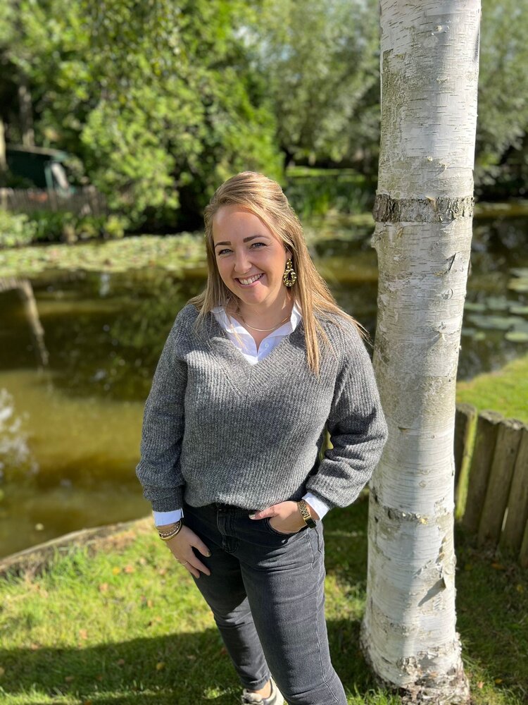 JDY JDYINGEBORG ADA LIFE L/S V-NECK PULL KNT JDY JDYINGEBORG ADA LIFE L/S V-NECK PULL KNT