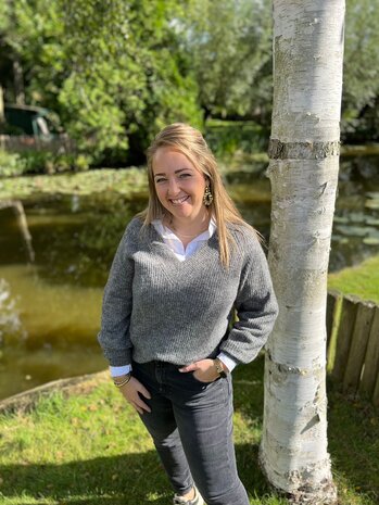 JDY JDYINGEBORG ADA LIFE L/S V-NECK PULL KNT JDY JDYINGEBORG ADA LIFE L/S V-NECK PULL KNT