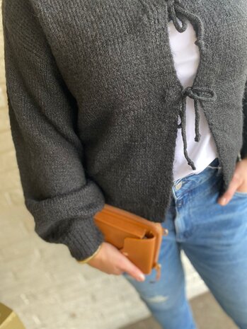 CARDIGAN BOW TIES ONE SIZE