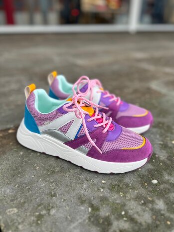 Poelman SNEAKER CAROCEL DARK VIOLET Poelman SNEAKER CAROCEL DARK VIOLET