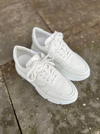Poelman SNEAKER JANA Poelman SNEAKER JANA