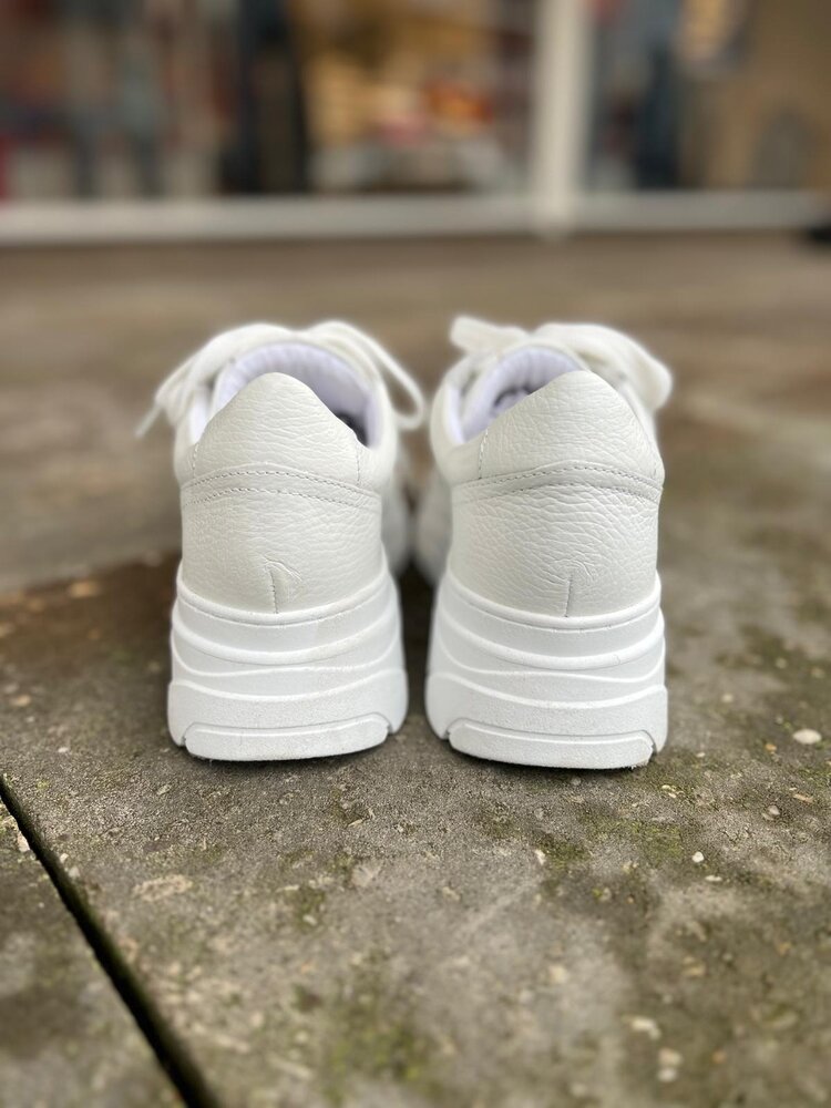 Poelman SNEAKER JANA Poelman SNEAKER JANA
