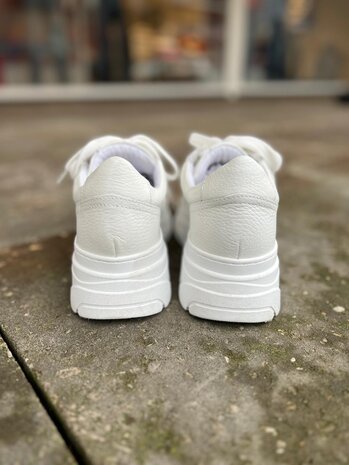 Poelman SNEAKER JANA Poelman SNEAKER JANA