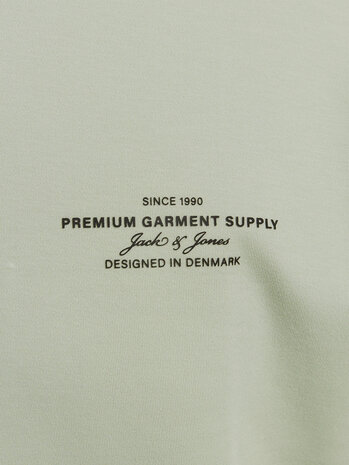Jack en Jones JPRBLACHAD BRANDING SS CREW NECK TEE SN