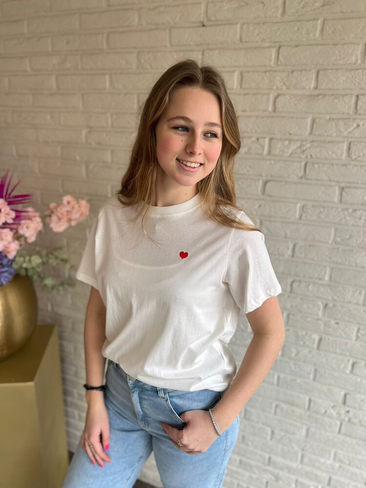 JDY JDYPISA S/S PRINT TOP JRS NOOS JDY JDYPISA S/S PRINT TOP JRS NOOS