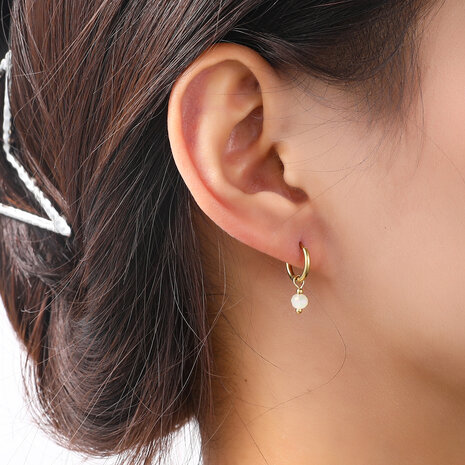 Go Dutch Label E4407-12