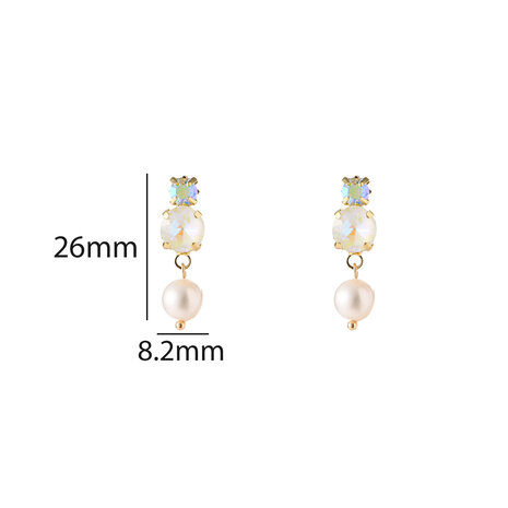 Go Dutch Label E5111-1