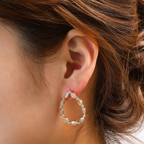 Go Dutch Label E5005-1