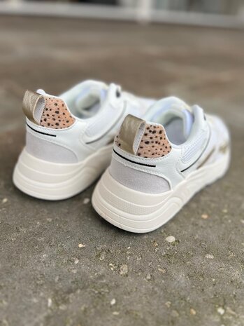 Poelman SNEAKER KAE Poelman SNEAKER KAE