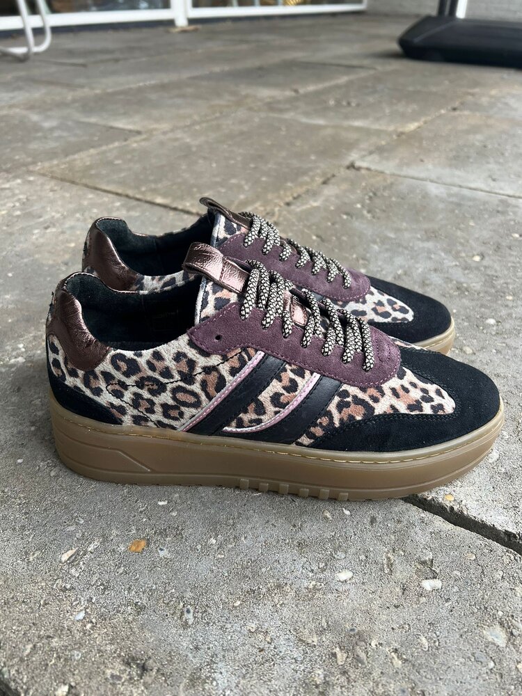 Poelman SNEAKER ANEMONE BLACK/BROWN/WINE