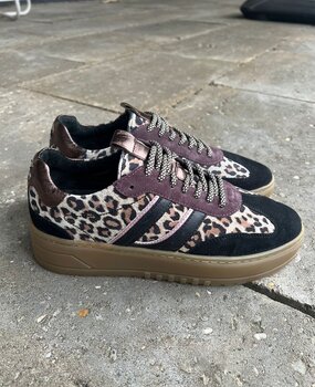 Poelman SNEAKER ANEMONE BLACK/BROWN/WINE Poelman SNEAKER ANEMONE BLACK/BROWN/WINE