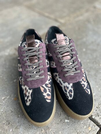 Poelman SNEAKER ANEMONE BLACK/BROWN/WINE