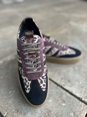 Poelman SNEAKER ANEMONE BLACK/BROWN/WINE