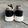 Poelman SNEAKER CAROCEL BEIGE/BROWN Poelman SNEAKER CAROCEL BEIGE/BROWN