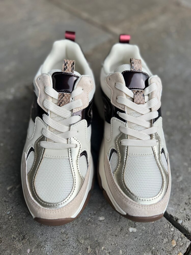 Poelman SNEAKER GIGI BEIGE/BROWN Poelman SNEAKER GIGI BEIGE/BROWN