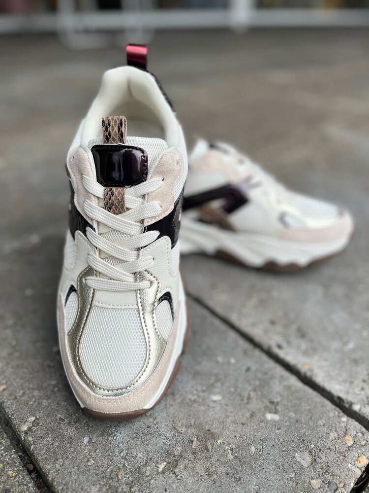 Poelman SNEAKER GIGI BEIGE/BROWN Poelman SNEAKER GIGI BEIGE/BROWN