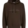 Jack en Jones JJESTAR JJ SWEAT HOOD DELICIOSO Jack en Jones JJESTAR JJ SWEAT HOOD DELICIOSO