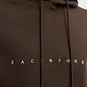 Jack en Jones JJESTAR JJ SWEAT HOOD DELICIOSO Jack en Jones JJESTAR JJ SWEAT HOOD DELICIOSO