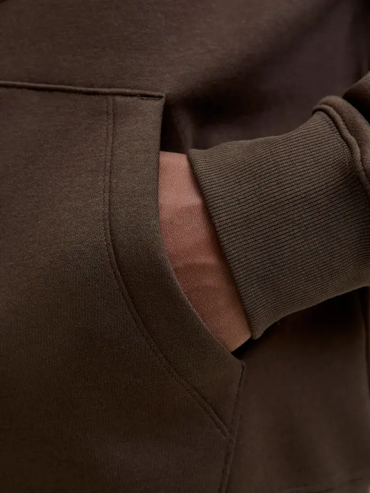 Jack en Jones JJESTAR JJ SWEAT HOOD DELICIOSO Jack en Jones JJESTAR JJ SWEAT HOOD DELICIOSO