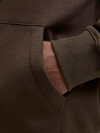 Jack en Jones JJESTAR JJ SWEAT HOOD DELICIOSO Jack en Jones JJESTAR JJ SWEAT HOOD DELICIOSO